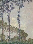 Claude Monet WInd Effect,Sequence of Poplars Germany oil painting artist